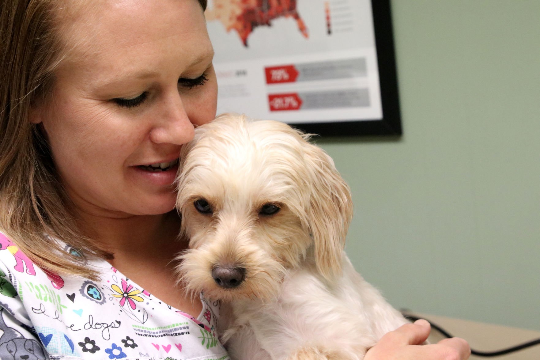 What the vet says
